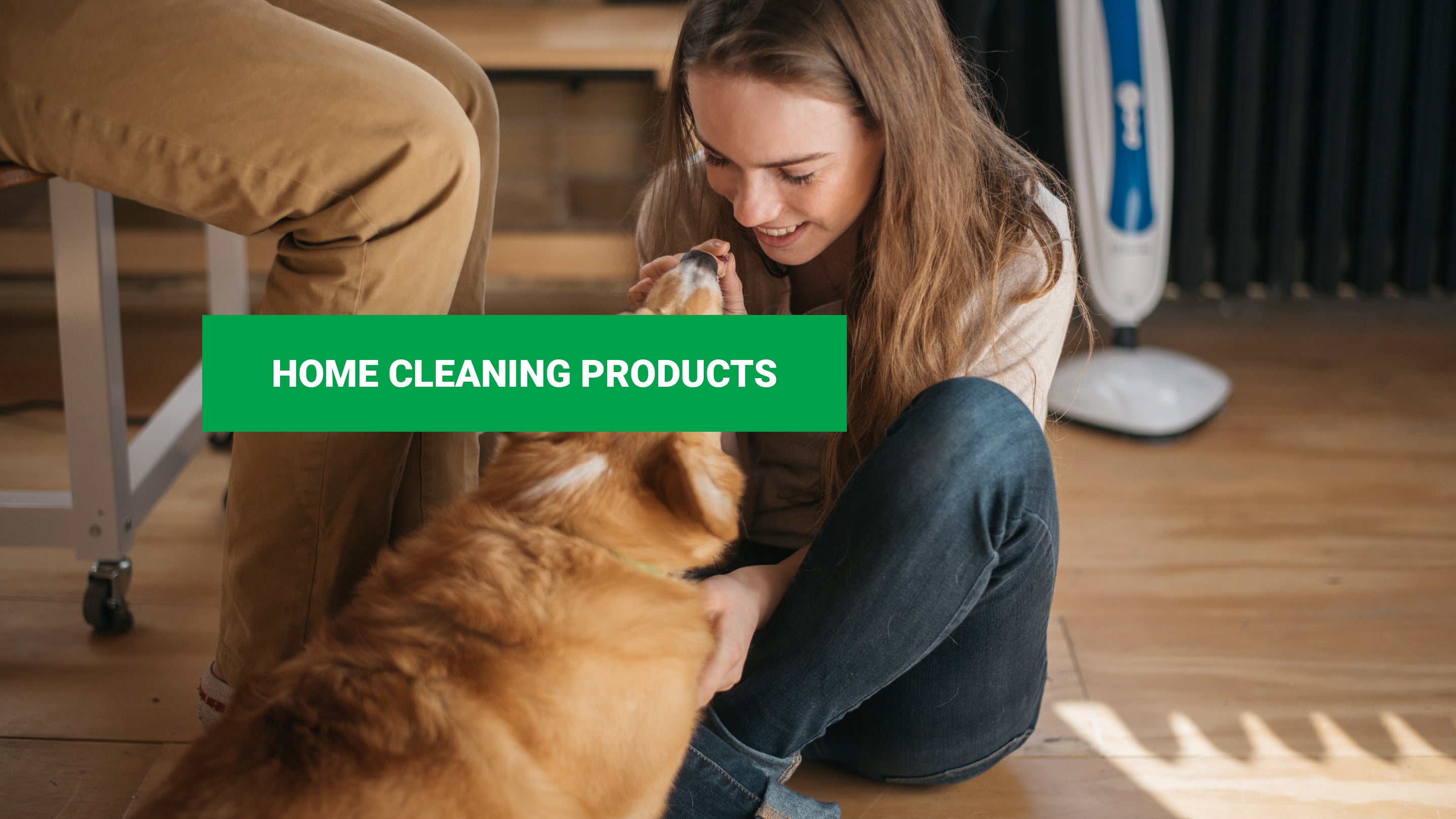 Home Cleaning Products